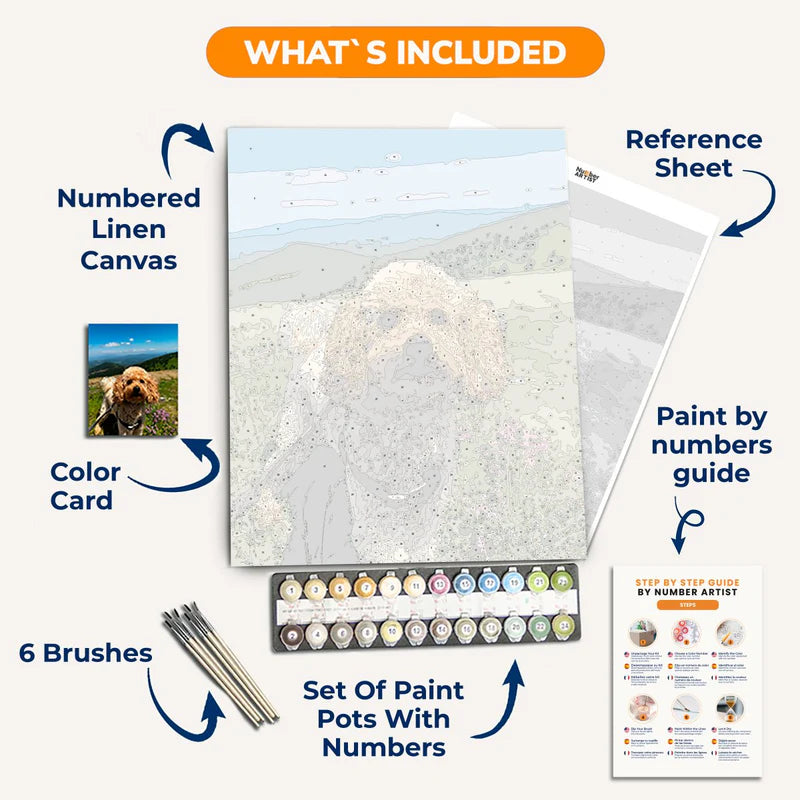 Custom Paint by Numbers Kit
