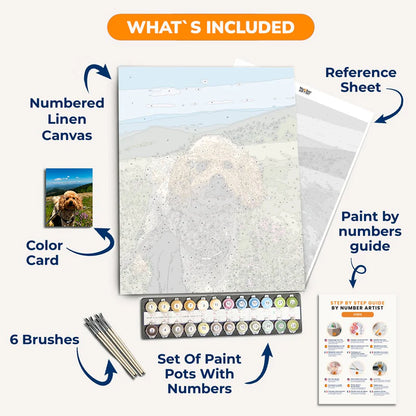 Custom Paint by Numbers Kit